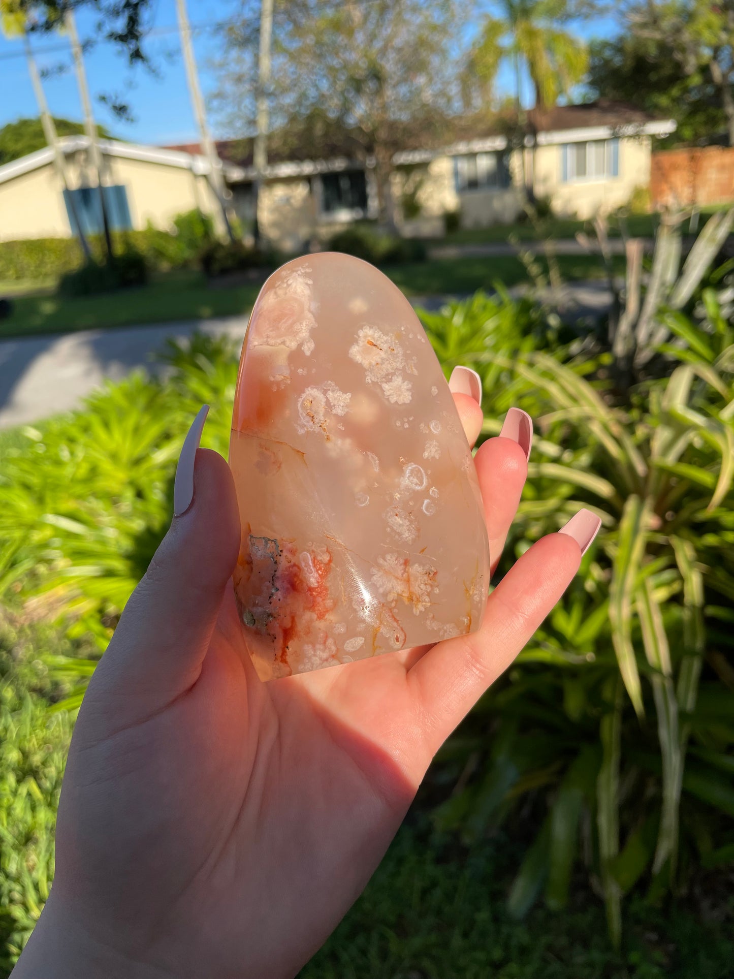 Pink Flower Agate Freeform