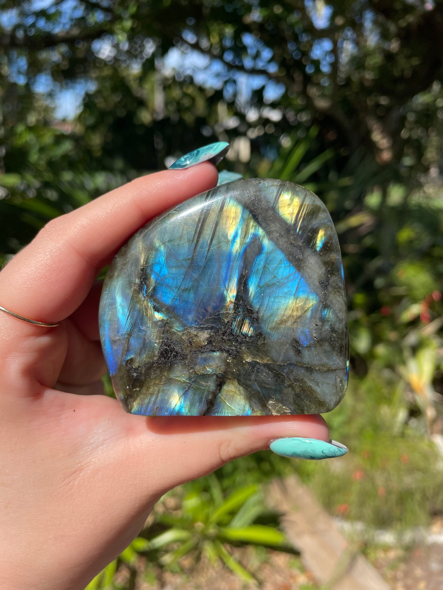 Blue Flash Labradorite Freeform